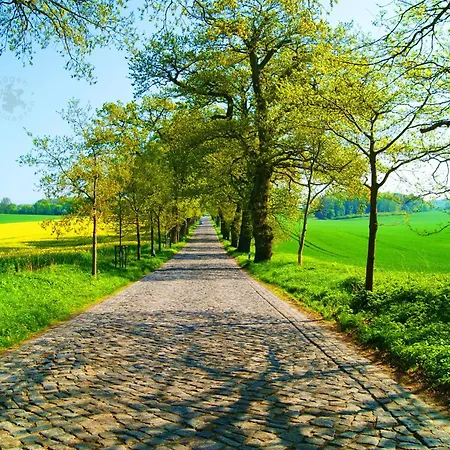 Seefisch, 4 Mit Terrasse アパート